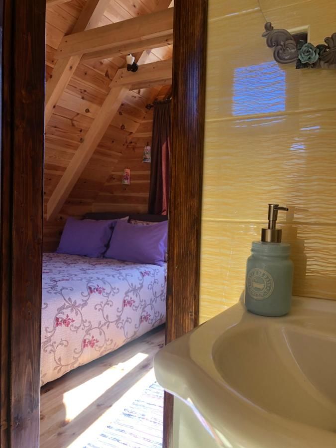 Гостевой дом Bungalow sa kupatilom Колашин-6